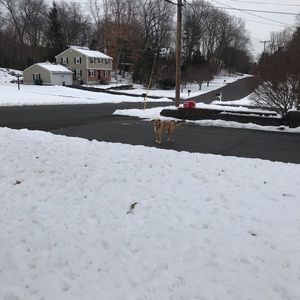 Meet your Posher, Marco